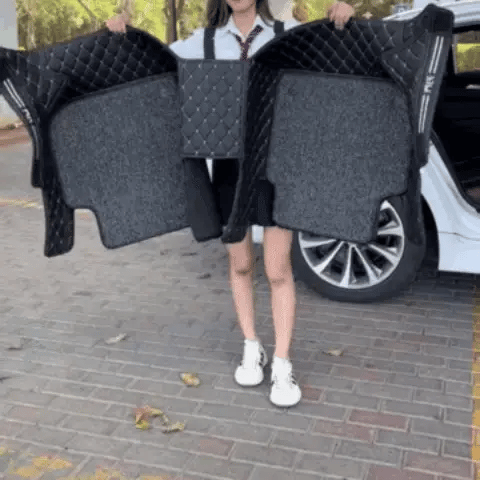 Enigma Floor Mats For Premium Cars